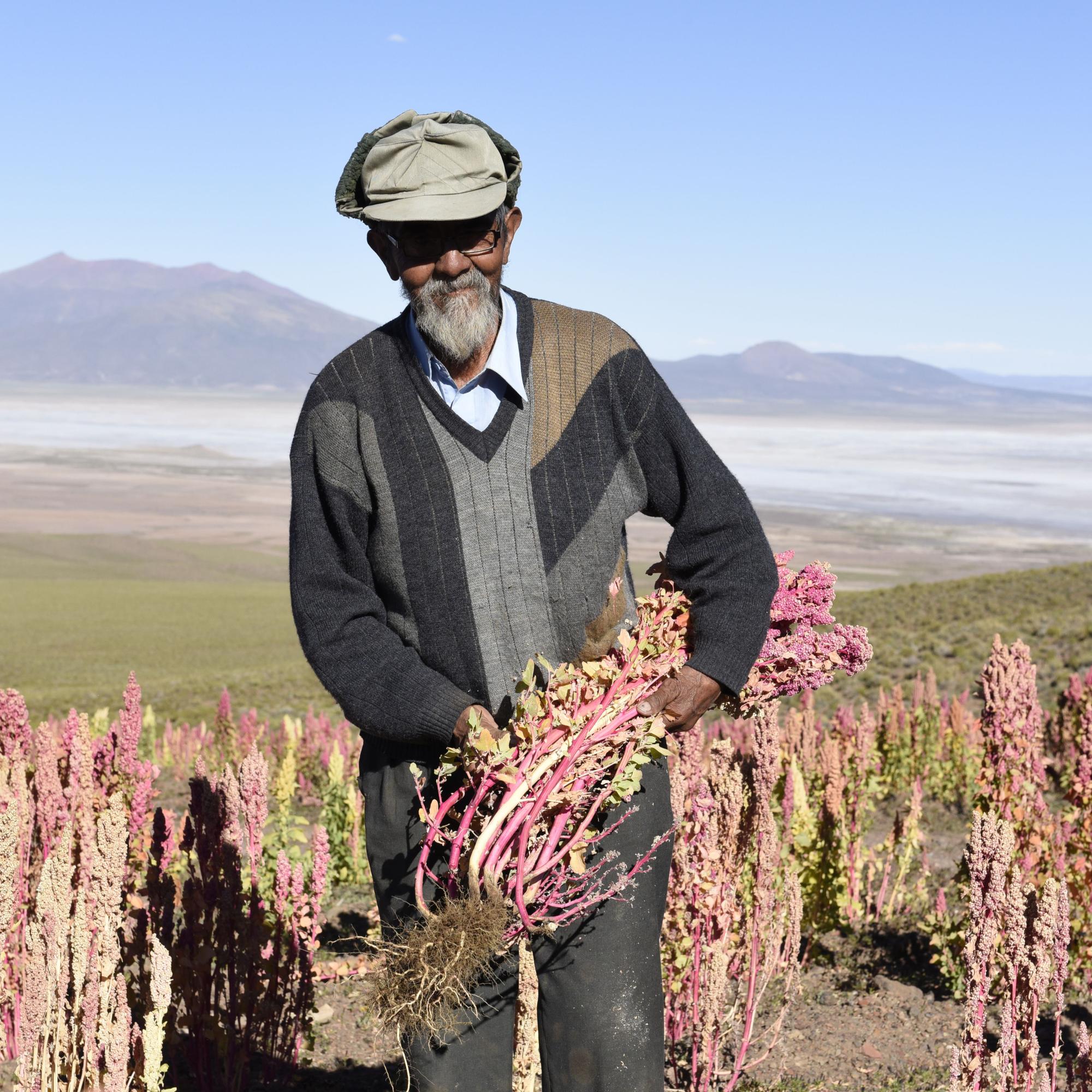 Quinoa farmer in Bolivia