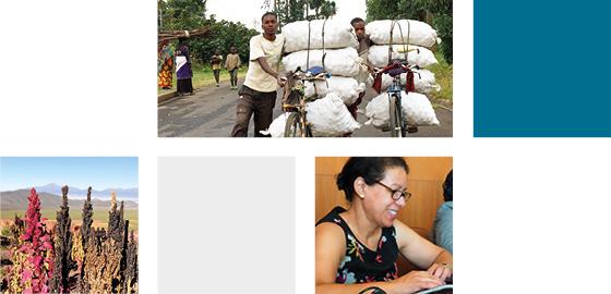 photo collage r4d programme