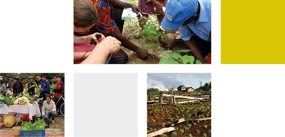 photo collage Food Security