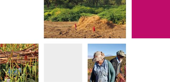 photo collage thematically open research