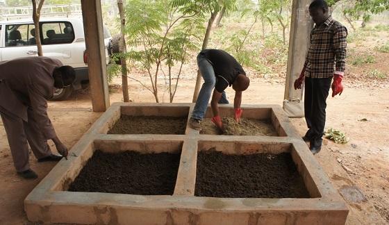 1. Testing substrate for house fly larvae production in Burkina Faso 