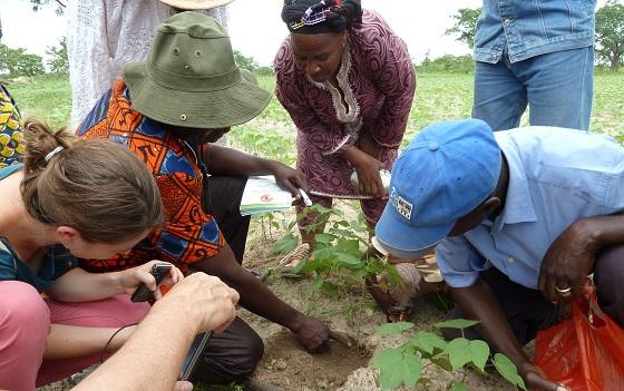 picture Soil in Focus