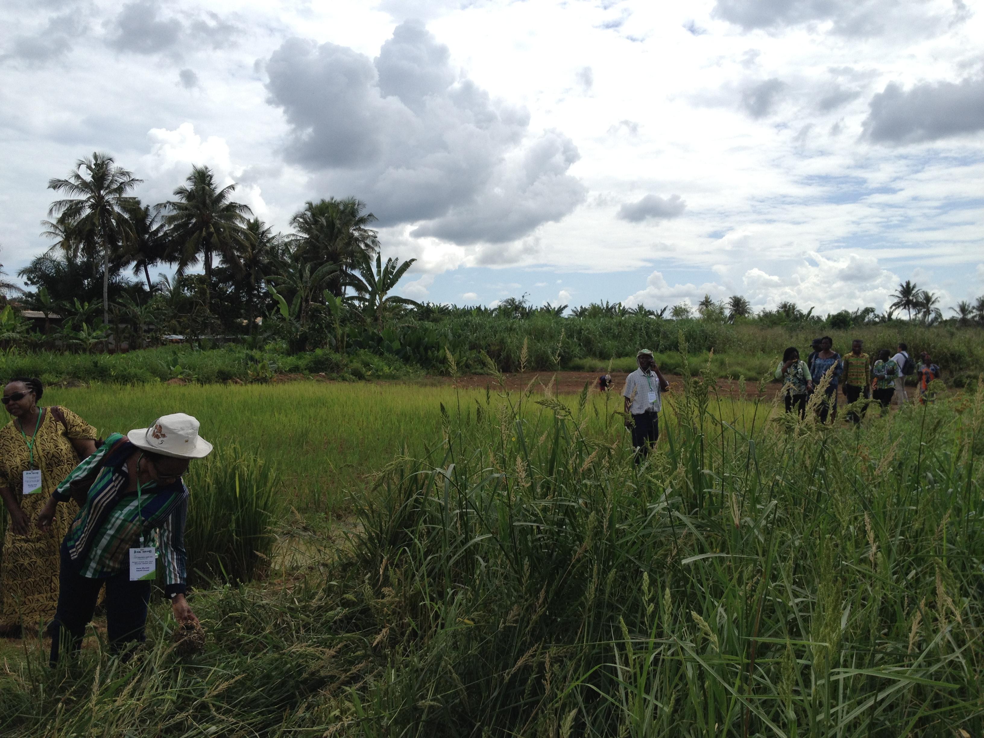 Field visit Ghana 2016