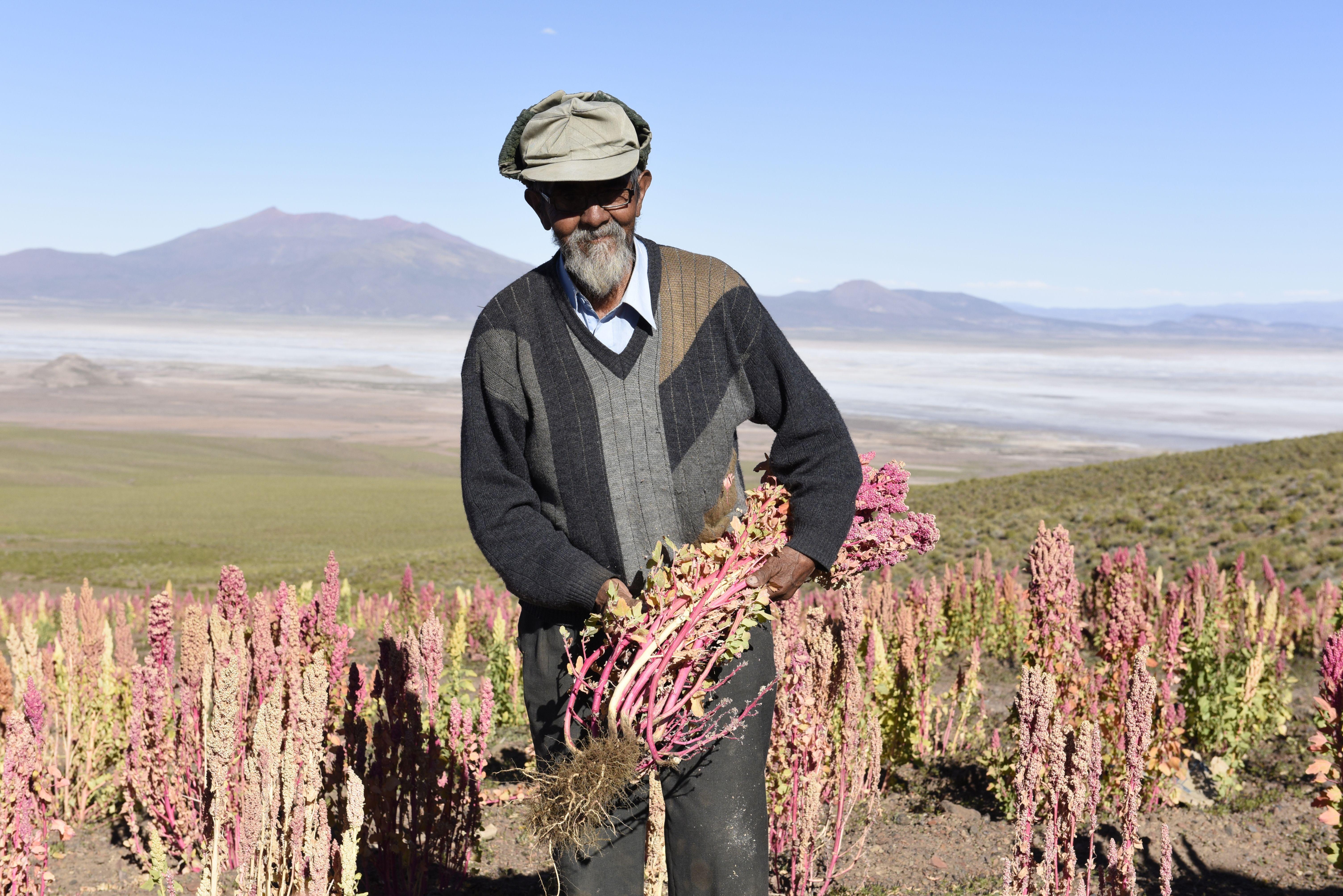 Quinoa farmer in Bolivia